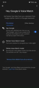 منوی تطبیق Hey Google & Voice در برنامه Google