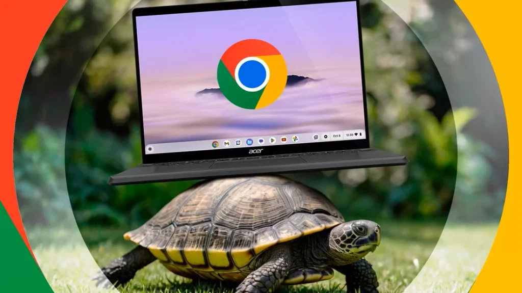 یک لپ تاپ بر روی پشت یک لاک پشت